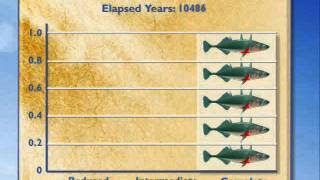 EvoDevo Fossil Record of Stickleback Evolution [upl. by Klute]