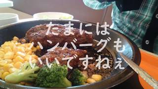 今日のワイルドハンバーグ300g IKINARI STEAK [upl. by Leiva]