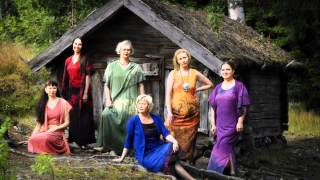 Finnish Folk Song by MeNaiset  Morsiamen Itketys the Brides Weeping [upl. by Carilla]