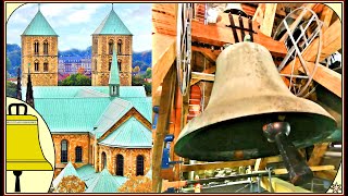 Münster Dom Glocken der Katholischen Kirche Plenum [upl. by Naujled636]