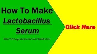 DIY Lactobacillus Serum Video tutorial and instructions [upl. by Jehiah]