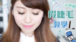 KIKOLI化妝師教你貼假眼睫毛 HOW TO APPLY FALSE EYELASHES 假眼睫毛教學 [upl. by Lehrer]