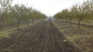 Tratamiento Almendros Caída Hojas 2013 [upl. by Godwin]