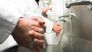 Hand Washing Technique  Campden BRI [upl. by Aradnahc853]