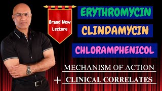 Clindamycin  Erythromycin  Chloramphenicol  MOA amp Clinical Correlations🩺 [upl. by Ozmo]