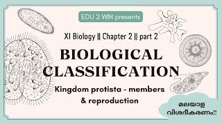 Biological Classification  Class 11 Biology  Chapter 2 Part 2 [upl. by Lenoj]