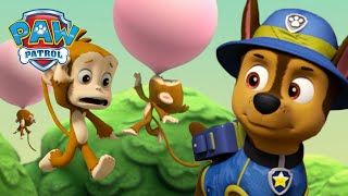 I Jungle Pups salvano le scimmie volanti  PAW Patrol Episodi Italiano [upl. by Zerla]