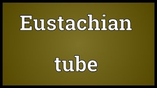 Eustachian tube Meaning [upl. by Ginny153]