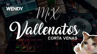 Vallenatos Mix DJ WENDY [upl. by Ximenez]