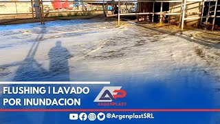 Flushing  Lavado de Tambos por Inundación  Argenplast SRL [upl. by Hermosa]