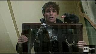 Baby niffler  Basement Scene  Fantastic Beasts and Crimes of Grindelwald2018 Movie Scene HD [upl. by Gabie]