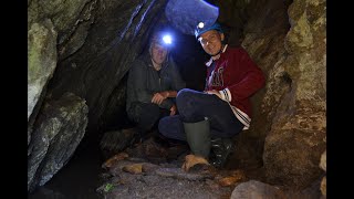 Miniere Minerone  Lo spettacolo dei fiori di calcare  Pestarena 15072024 [upl. by Eignav]