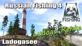 Russian Fishing 4 ★ Ludoga Renken Spot an der Brücke  Ladoga See  RF4 Deutsch [upl. by Dadinirt]