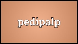 Pedipalp Meaning [upl. by Aicenad]