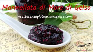 Ricetta per Marmellata di More di Gelso senza glutine e senza pectina [upl. by Candide]