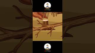 গাছ লাগাও2  Bangla Cartoon  বাংলা কার্টুন  Mojar Mojar golpo  Desh cartun [upl. by Perkins]