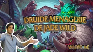 DRUIDE SAUVAGE JADE DE LA MENAGERIE Wild Fr Hearthstone [upl. by Fryd]