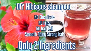 Homemade shampoo ONLY 2 ingredients Get Frizzfree Strong Smooth Silky Long Hair [upl. by Ydnim696]