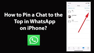 How to Pin a Chat to the Top in WhatsApp on iPhone [upl. by Aidualk]