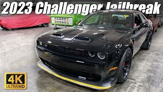 2023 Dodge Challenger SRT Hellcat Redeye Widebody Jailbreak For Sale Vanguard Motor Sales 0060 [upl. by Boiney398]