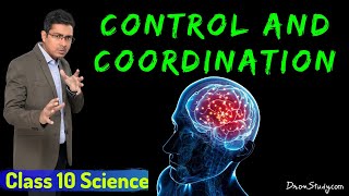 Control and Coordination  CBSE Class 10 X Science Biology  Toppr Study [upl. by Abrahams]