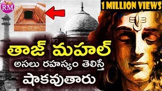 Taj Mahal History in Telugu  Taj Mahal Mystery  Tejo Mahalaya Real Story [upl. by Philander]