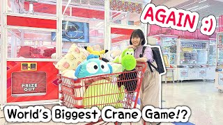 World’s Biggest Crane Game… AGAIN 30000 YEN CHALLENGE [upl. by Notkcorb]