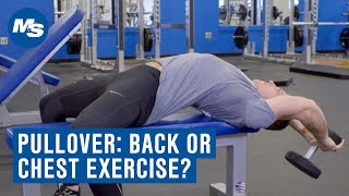 Dumbbell Pullover Chest or Back Exercise [upl. by Darnall]