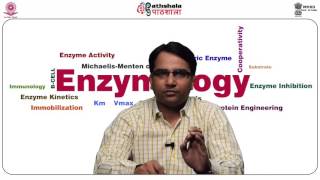 Enzyme Regulation of Aspartic transcarbamylase Metalloenzymescarboxypeptidase A and Role of Zinc [upl. by Hannad387]