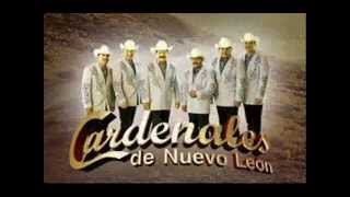 Mix de los Cardenales de Nuevo Leòn los mas nuevo 2014 [upl. by Leahci]