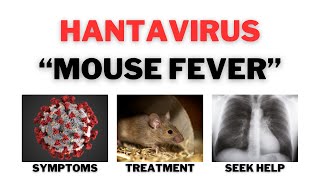 Hantavirus  Hantavirus Pulmonary Syndrome  quotMouse Feverquot Symptoms and Treatment [upl. by Atiuqan977]