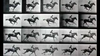 Cronofotografia  Muybridge Chronophotography [upl. by Adnohsirk250]