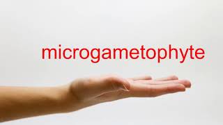 How to Pronounce microgametophyte  American English [upl. by Rafaello]