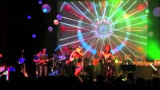 Shpongle  Dorset Perception  live at the Enmore Theatre Sydney 15th January 2011 [upl. by Nitsirk]