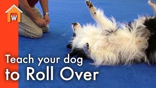 Teach Your Dog to Roll Over [upl. by Henriha]