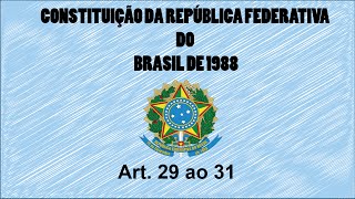 Constituição em Áudio Art 29 ao 31 [upl. by Enidlarej]