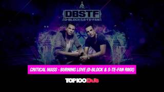 Critical mass  Burning loveDBlock amp SteFan rmx [upl. by Reinar]