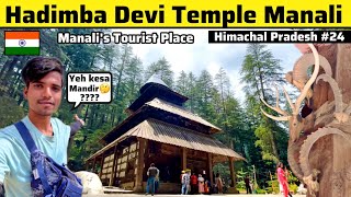 Hadimba Devi Temple Manali  Trek Full Details  Himachal Pradesh🇮🇳 [upl. by Nottarts548]