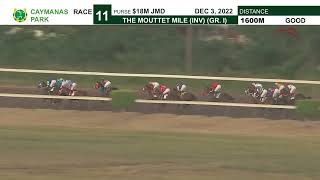 The Mouttet Mile Invitational 2022  Caymanas Horse Racing  SportsMax TV [upl. by Krishnah]