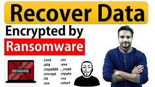 How to recover data encrypted by Ransomware How to decrypt encrypted files [upl. by Cnut]