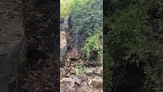 Peaceful little waterfall at Lake Nockamixon State Park [upl. by Adama]