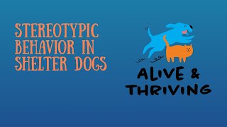 Stereotypic Behavior in Shelter Dogs [upl. by Ahsinek903]