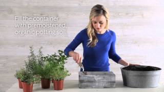 How To Plant an Herb Container  Southern Living [upl. by Namreh274]