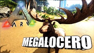 Taming A Megaloceros  Ark Survival Evolved  The Island [upl. by Namaan]