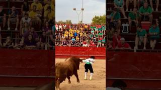 SALTO BACKFLIP IMPRESIONANTE A UN TORO BRAVO tricks backflip best champion [upl. by Nakah792]