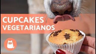 Recetas fáciles para perros  CUPCAKES VEGETARIANOS [upl. by Ailekahs123]