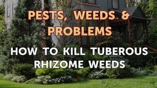 How to Kill Tuberous Rhizome Weeds [upl. by Fruin]