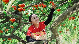 Harvest Acerola Cherry Goes to the market sell  Delicious fruit dishes  Emma Daily Life [upl. by Canice126]