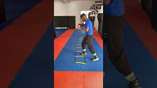 Basics Agility Ladder Drills  Cardio [upl. by Mills853]