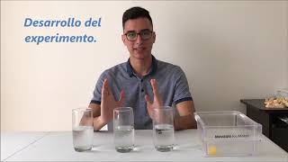 Experimento Termodinámica  Cubos de Hielo [upl. by Hanoy]